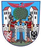 Hostinné – Studie proveditelnosti na zavedení DTD